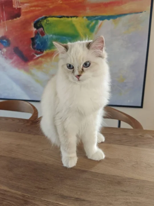 Marie